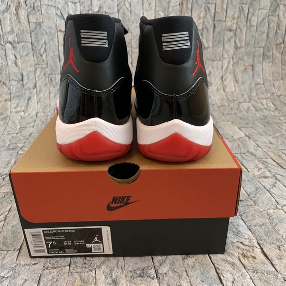 Jordan bred 11 2019 - Picture 4 of 5